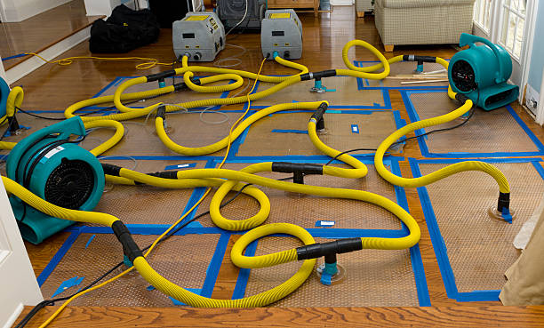 Professional Water Extraction technician working in Miller City, OH